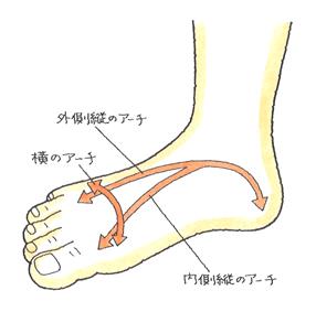 足部のアーチ構造